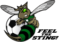 Mansfield Youth Soccer - Feel The Sting